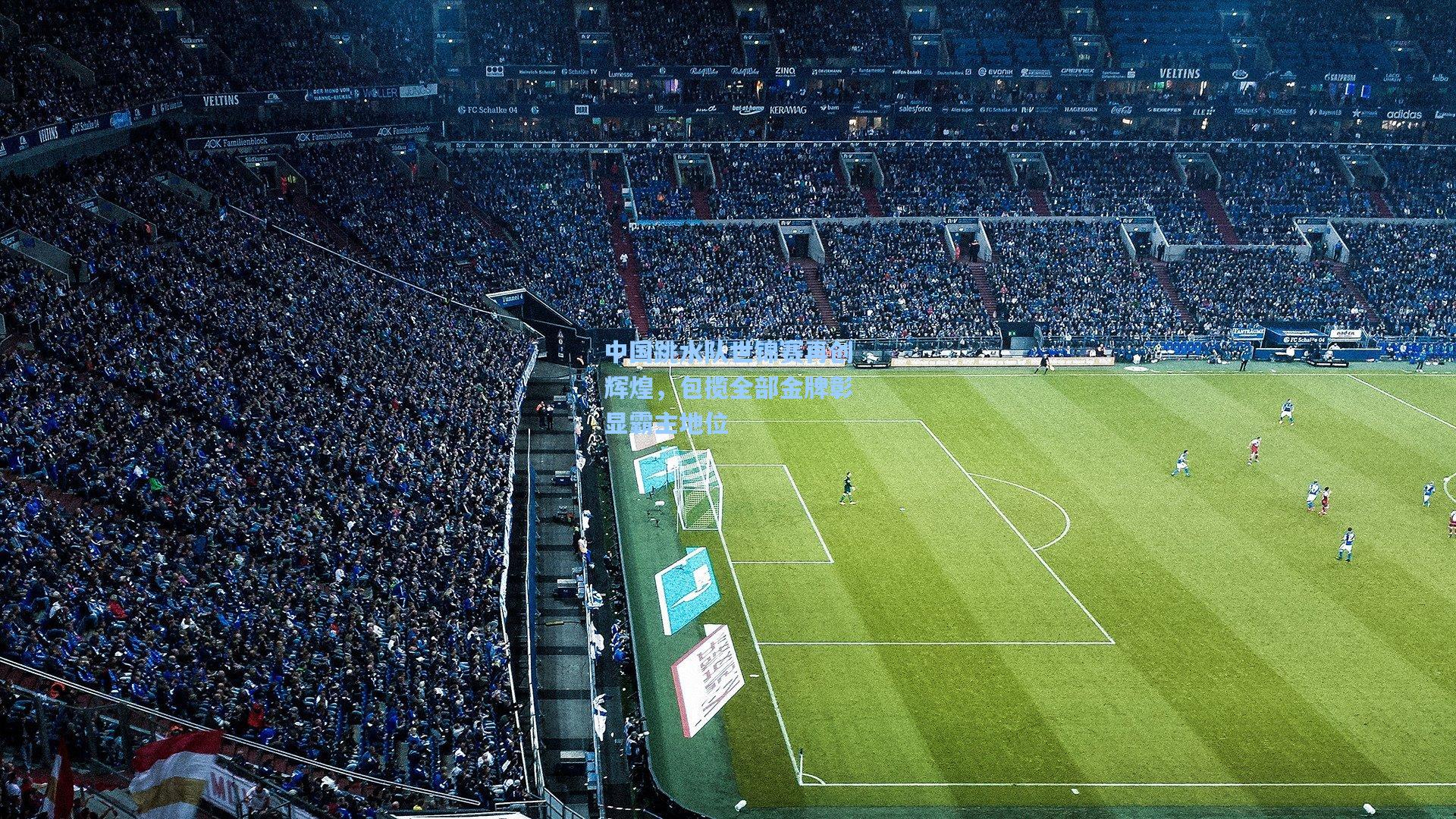 中国跳水队世锦赛再创辉煌，包揽全部金牌彰显霸主地位