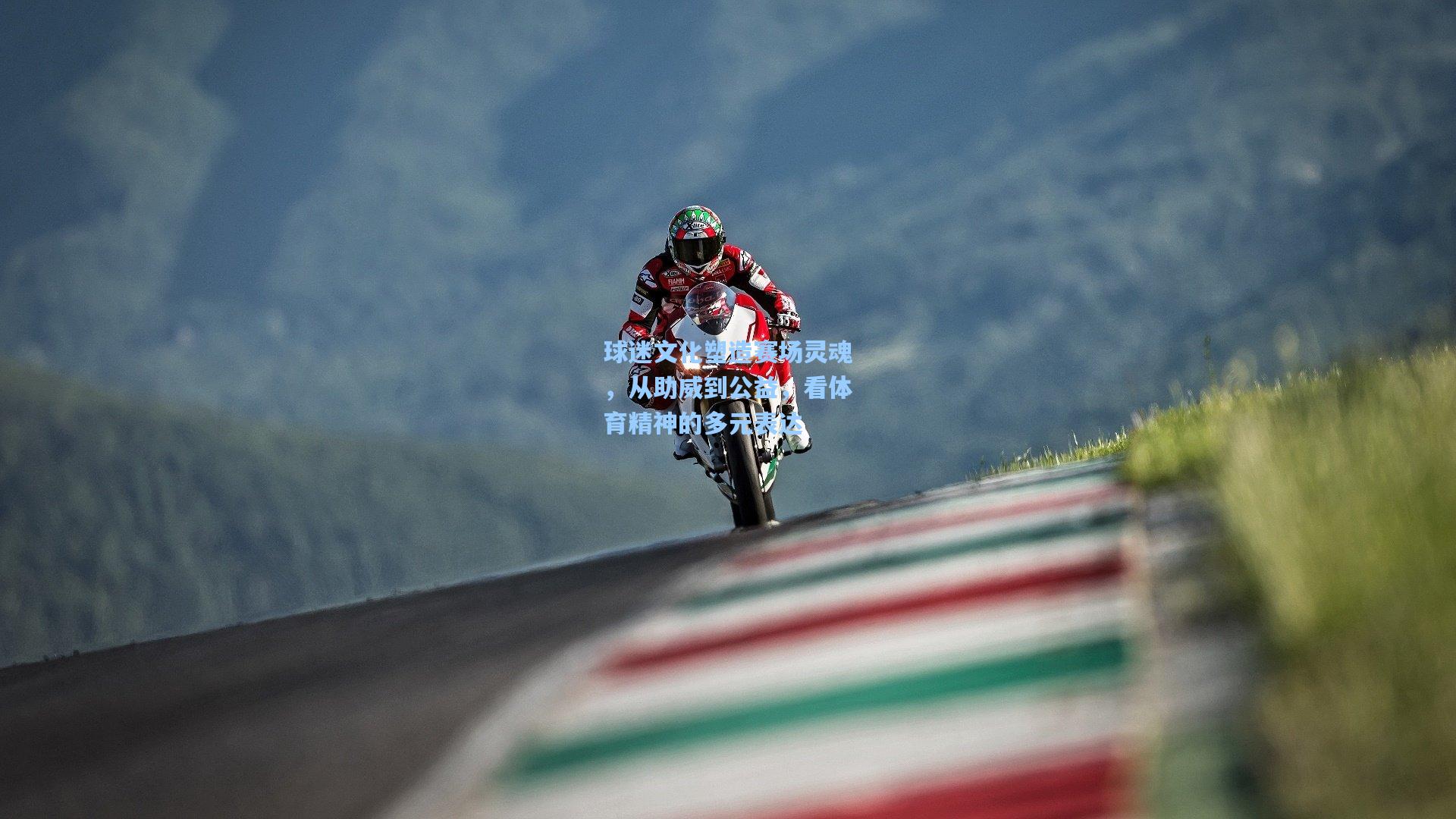 球迷文化塑造赛场灵魂,从助威到公益,看体育精神的多元表达