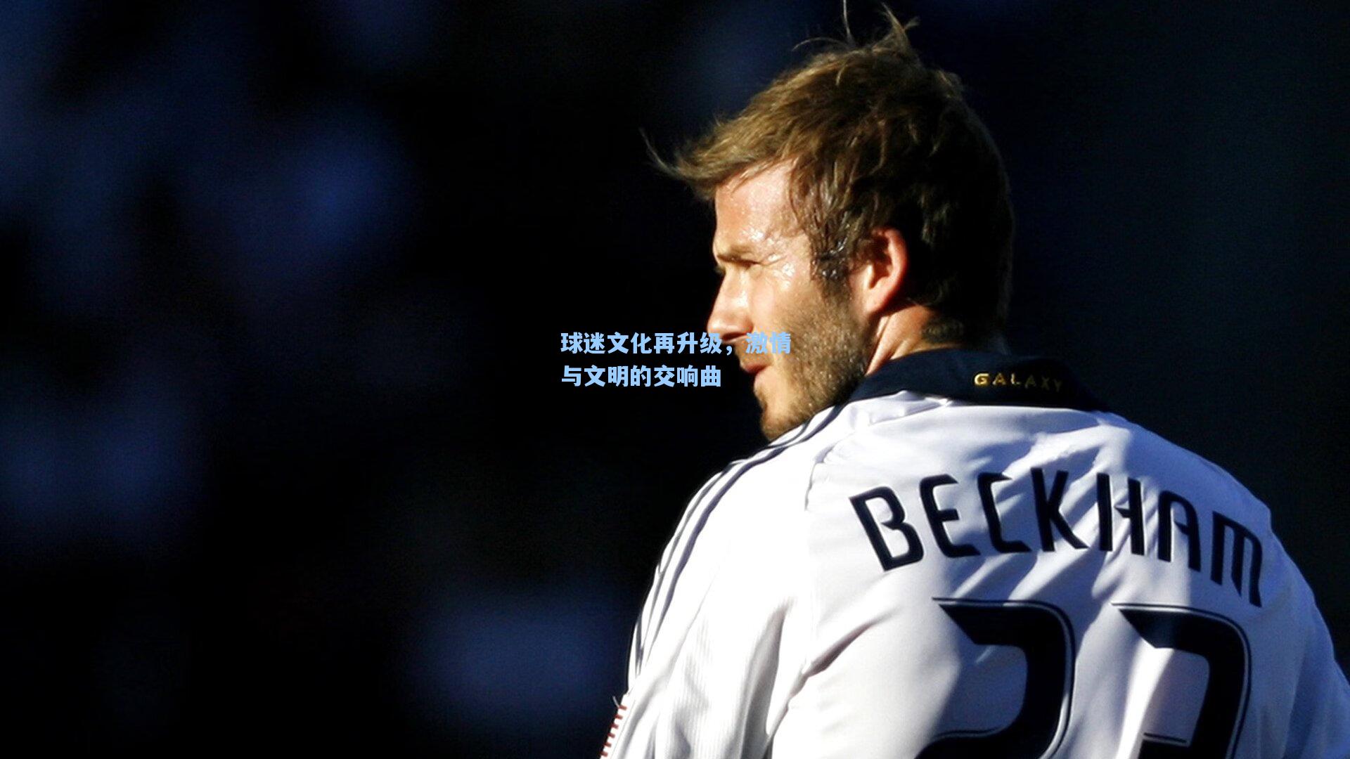 球迷文化再升级，激情与文明的交响曲