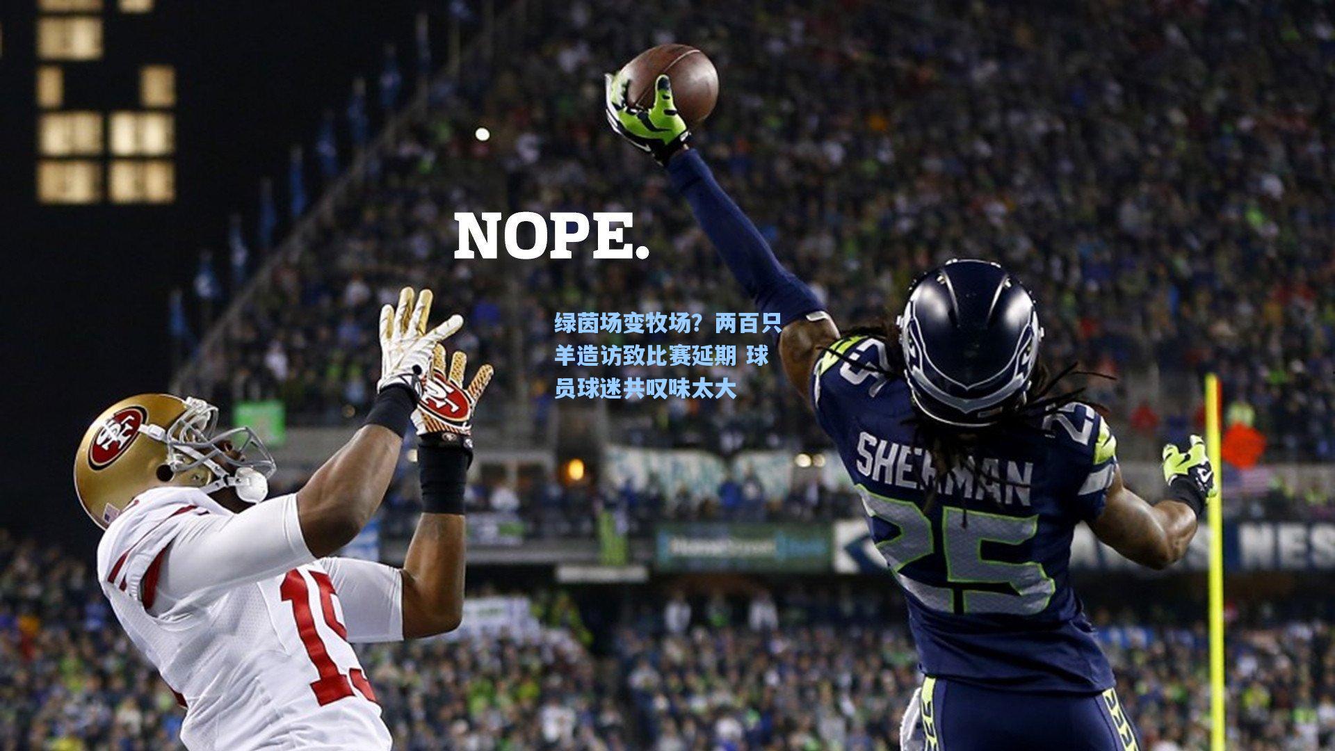 绿茵场变牧场?两百只羊造访致比赛延期 球员球迷共叹味太大