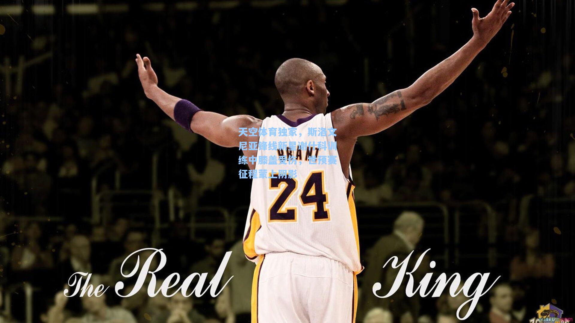 天空体育独家，斯洛文尼亚锋线新星谢什科训练中膝盖受伤，世预赛征程蒙上阴影